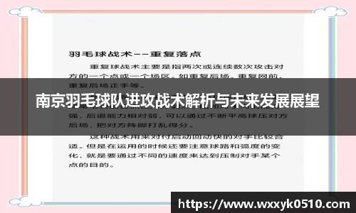 南京羽毛球队进攻战术解析与未来发展展望