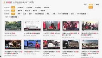 国产大片短视频软件网站