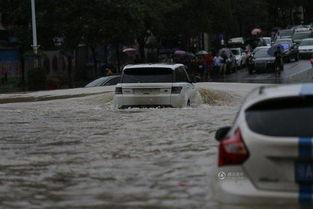 国产最强涉水车视频,视频揭秘水中霸主风采