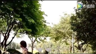 国产宅男恋爱视频在线,甜蜜互动，揭秘二次元世界的浪漫情缘